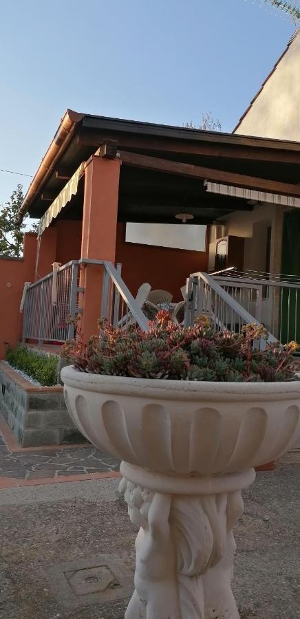 Casa Vacanze Mimose Palinuro Eksteriør bilde