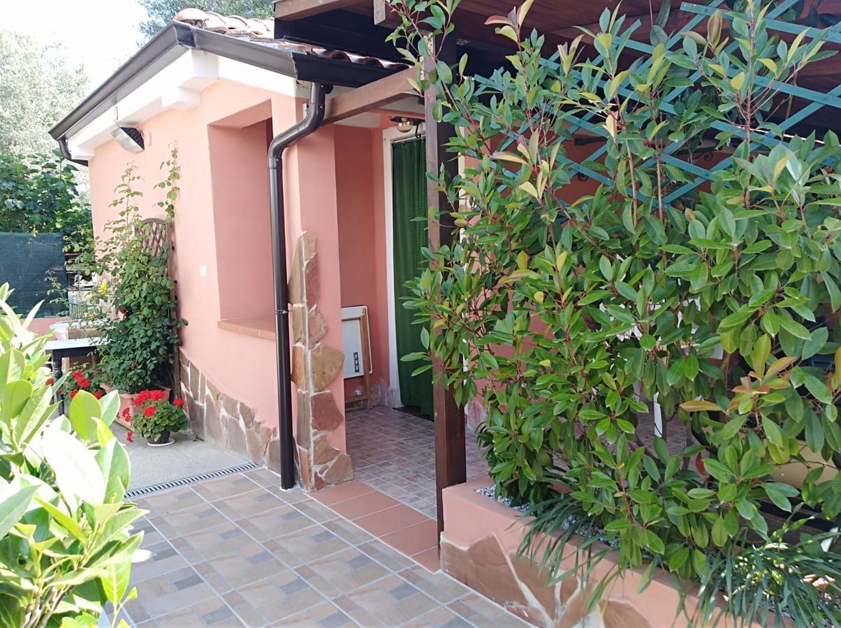 Casa Vacanze Mimose Palinuro Eksteriør bilde