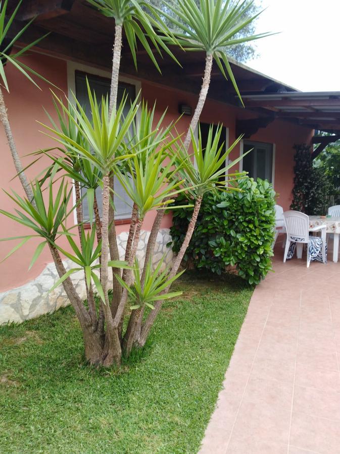 Casa Vacanze Mimose Palinuro Eksteriør bilde