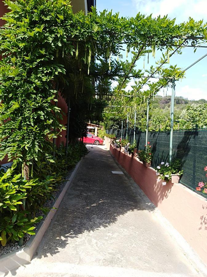 Casa Vacanze Mimose Palinuro Eksteriør bilde